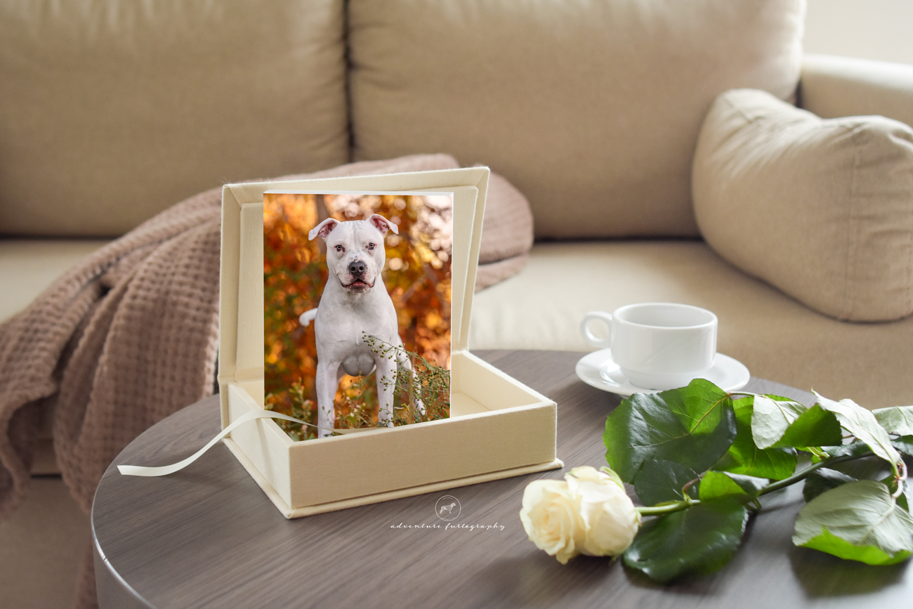 Image Box